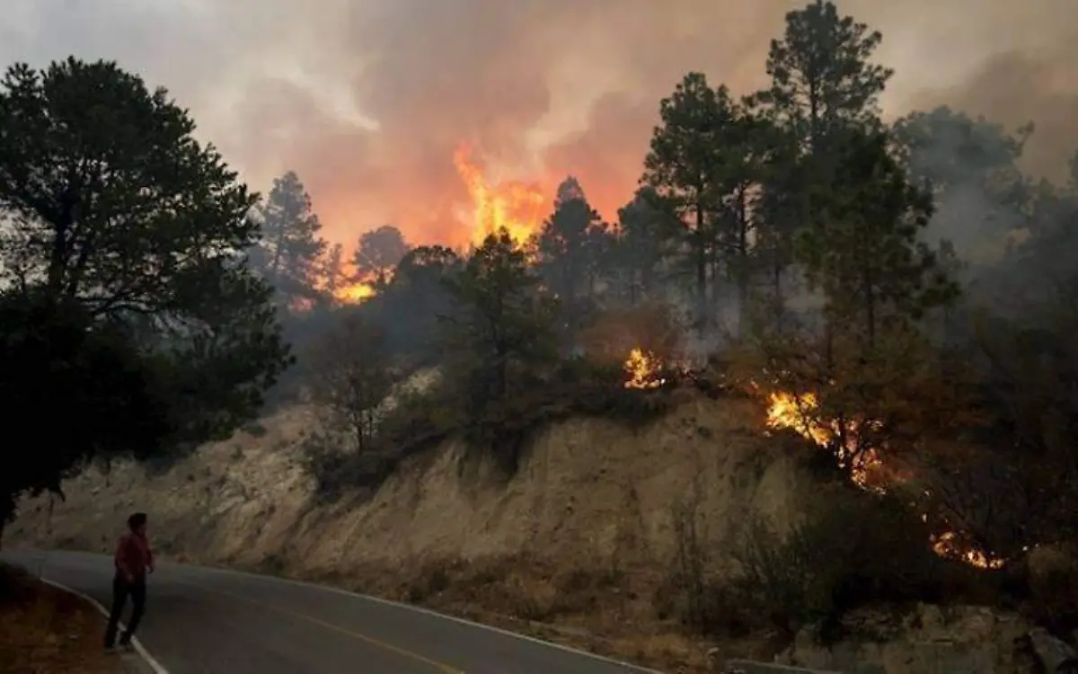 Incendio en Coahuila y Nuevo León (3)